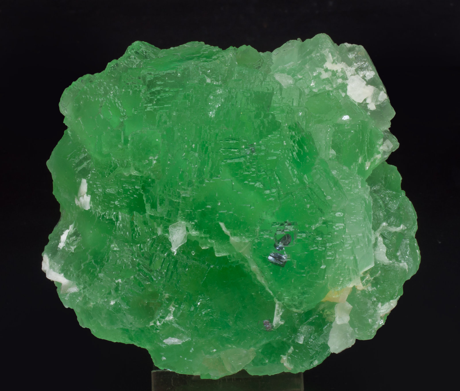 specimens/s_imagesAH9/Fluorite-EM89AH9f1.jpg