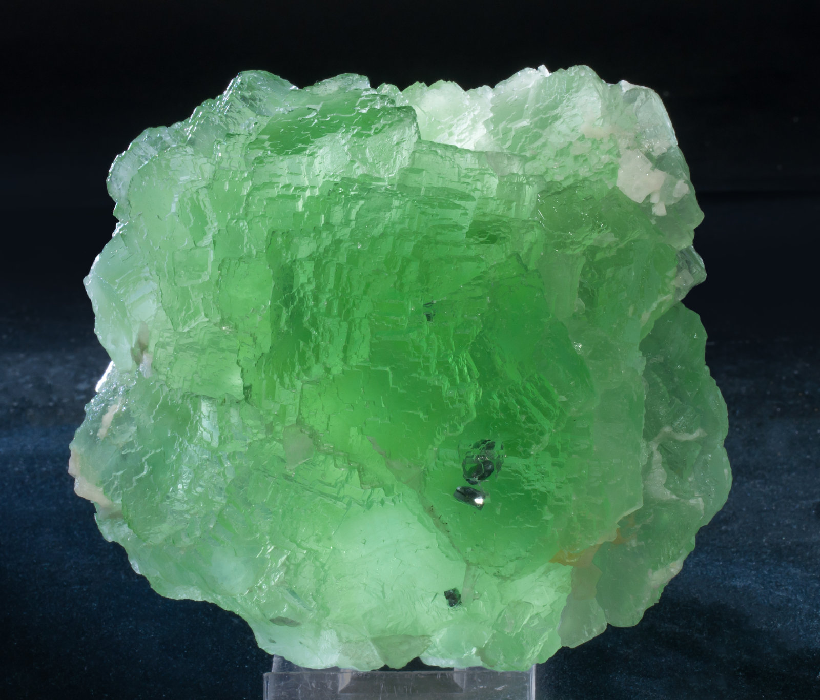 specimens/s_imagesAH9/Fluorite-EM89AH9f2.jpg