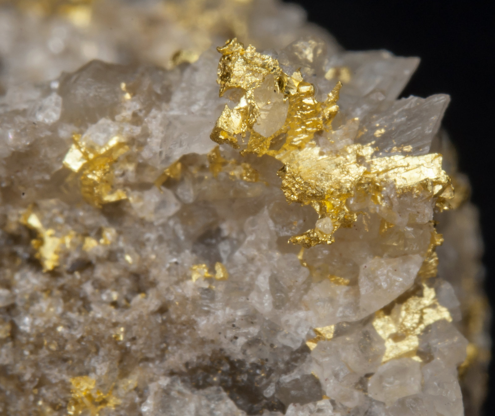 specimens/s_imagesAH9/Gold-EF88AH9d.jpg