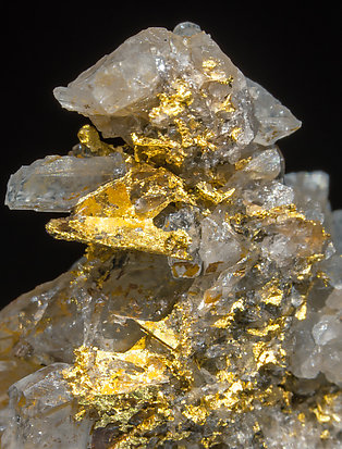 Gold with Quartz. 