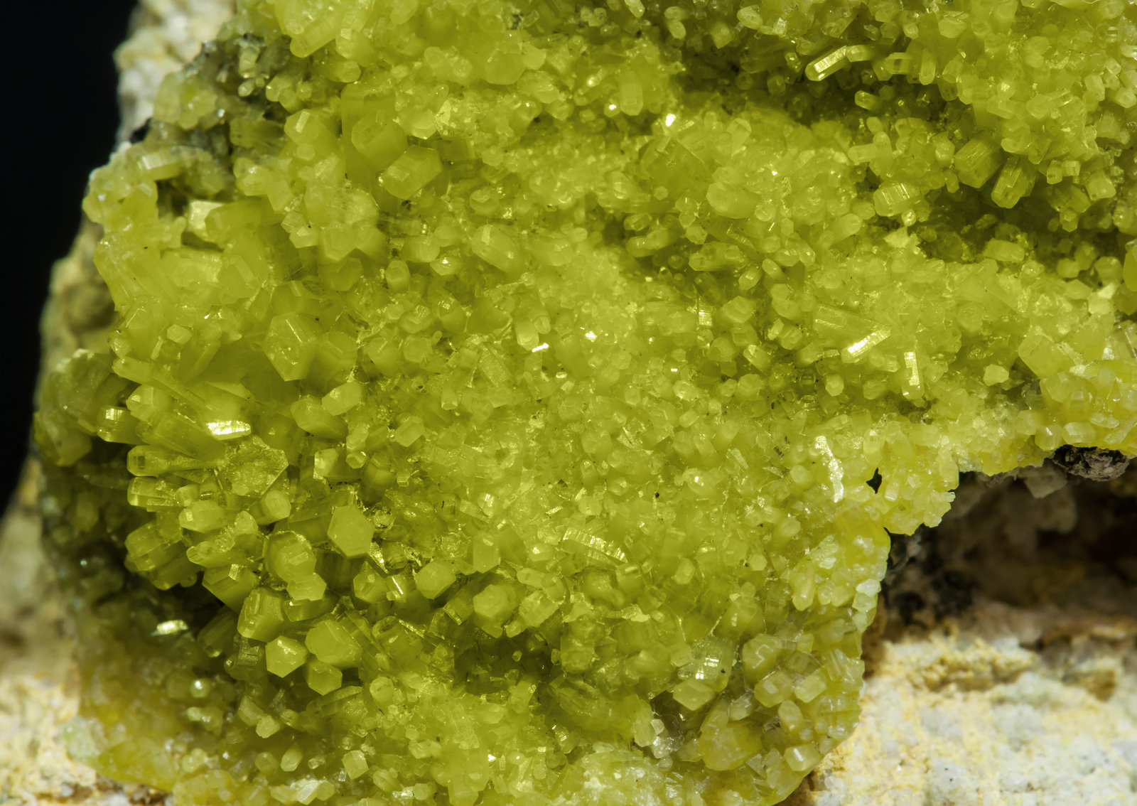 specimens/s_imagesAH9/Pyromorphite-NC11AH9d.jpg