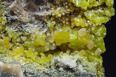 Pyromorphite. 