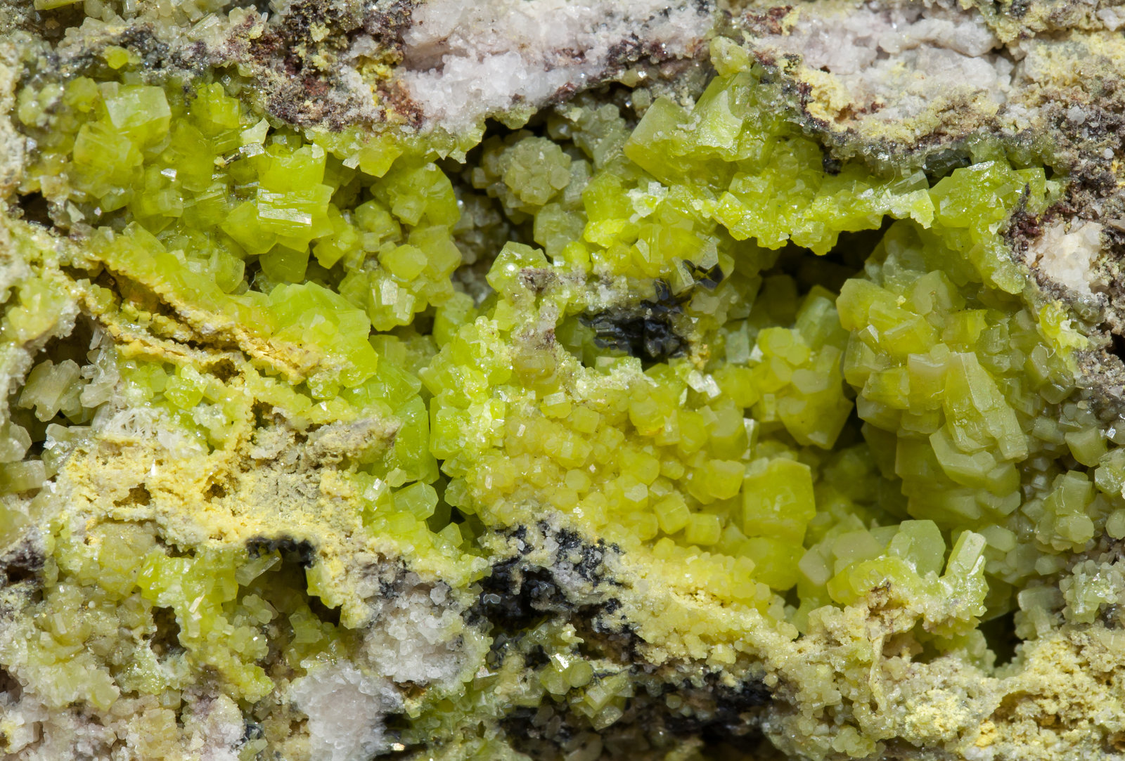 specimens/s_imagesAH9/Pyromorphite-NY14AH9d.jpg