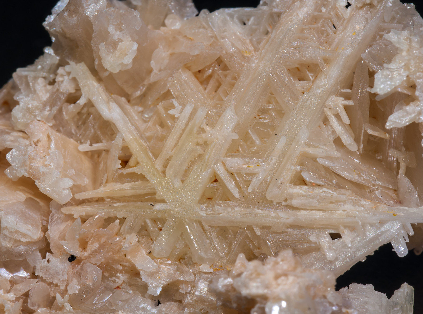 specimens/s_imagesAI0/Cerussite-NC89AI0d.jpg