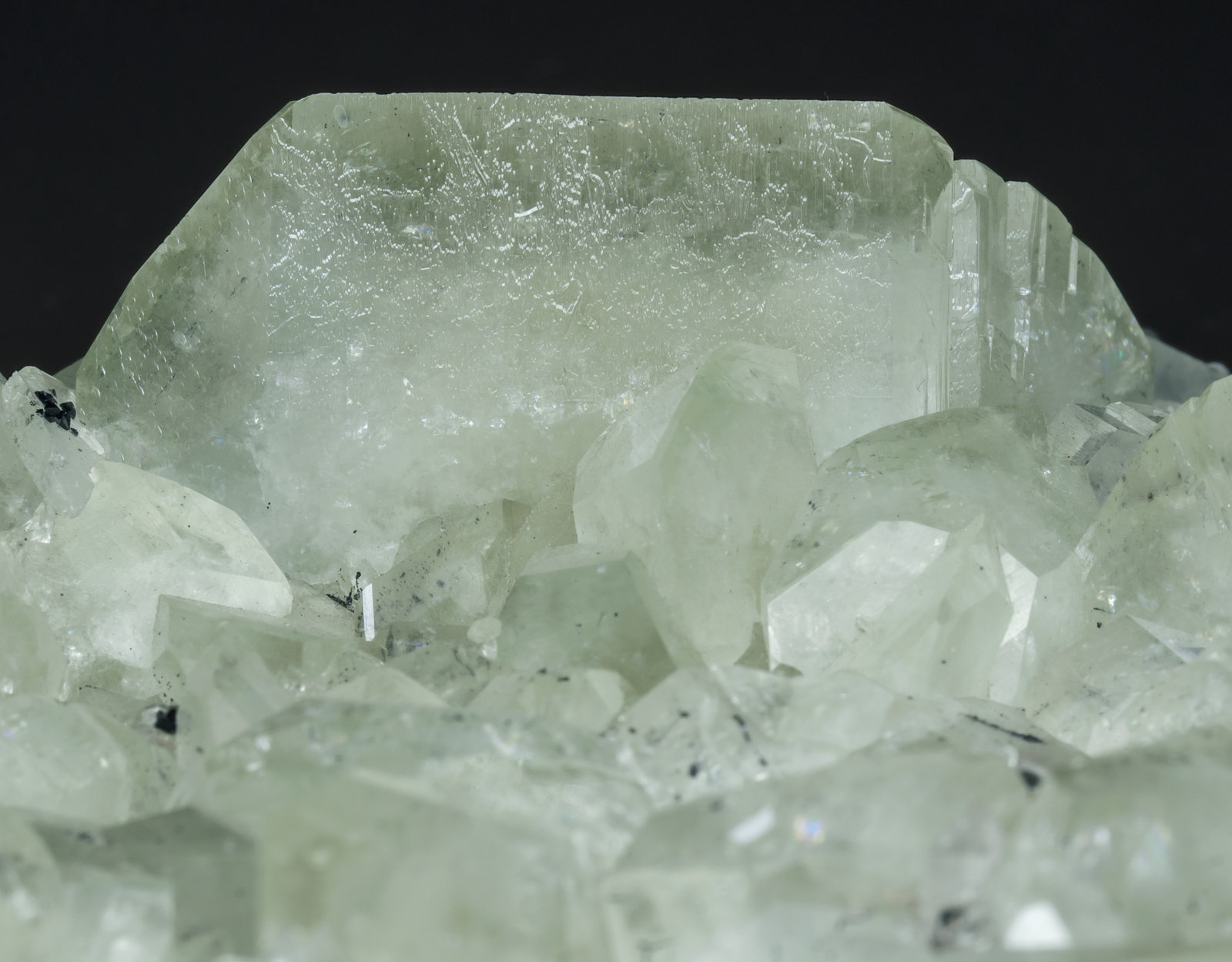 specimens/s_imagesAI0/Datolite-VB99AI0d1.jpg