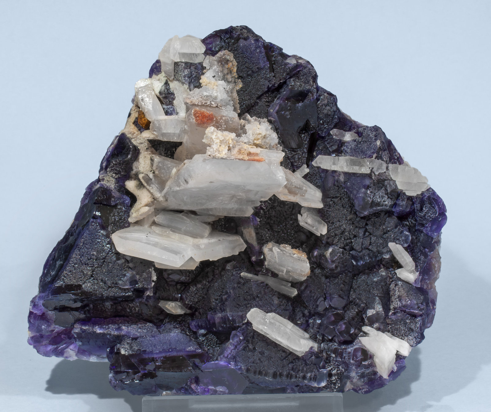 specimens/s_imagesAI0/Fluorite-EM99AI0f.jpg