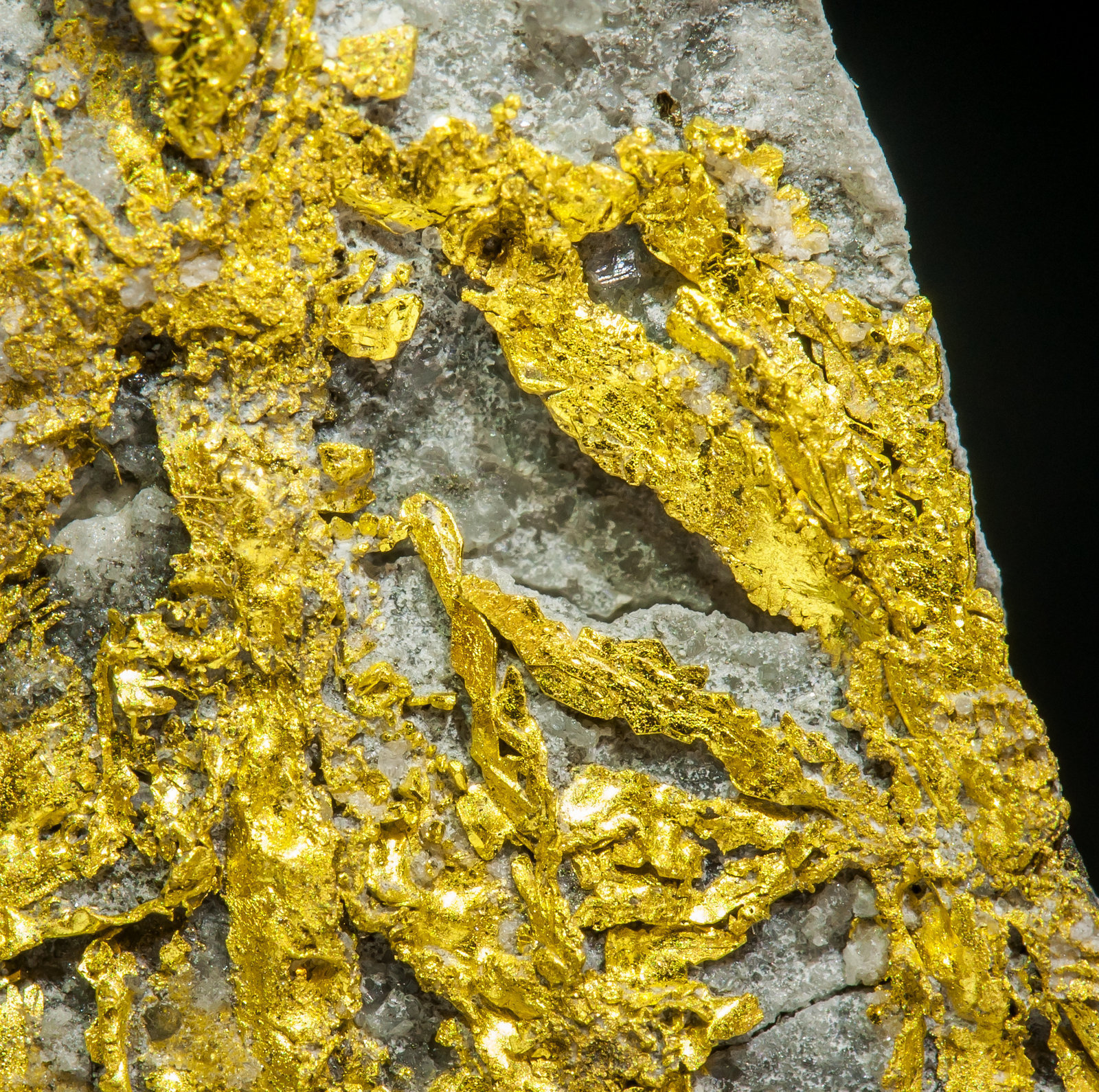 specimens/s_imagesAI0/Gold-MA97AI0d1.jpg