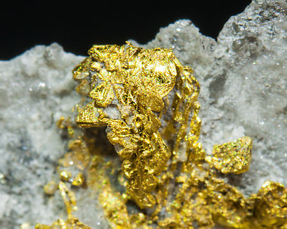 Gold with Quartz. 