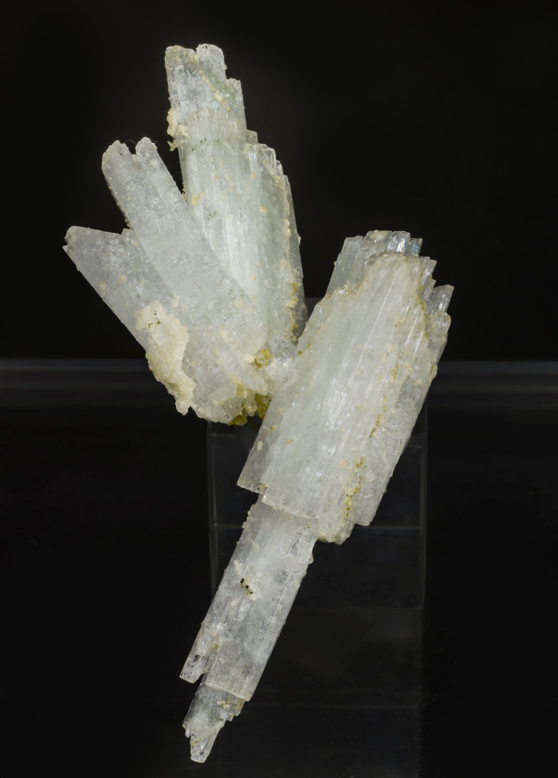 specimens/s_imagesAI0/Pectolite-TQ89AI0r.jpg