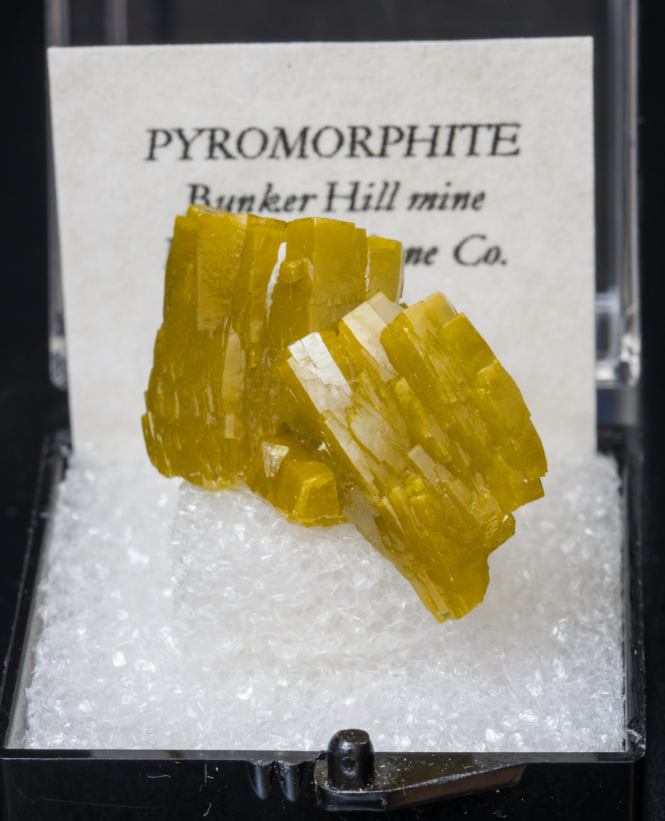 specimens/s_imagesAI0/Pyromorphite-TP28AI0f1.jpg