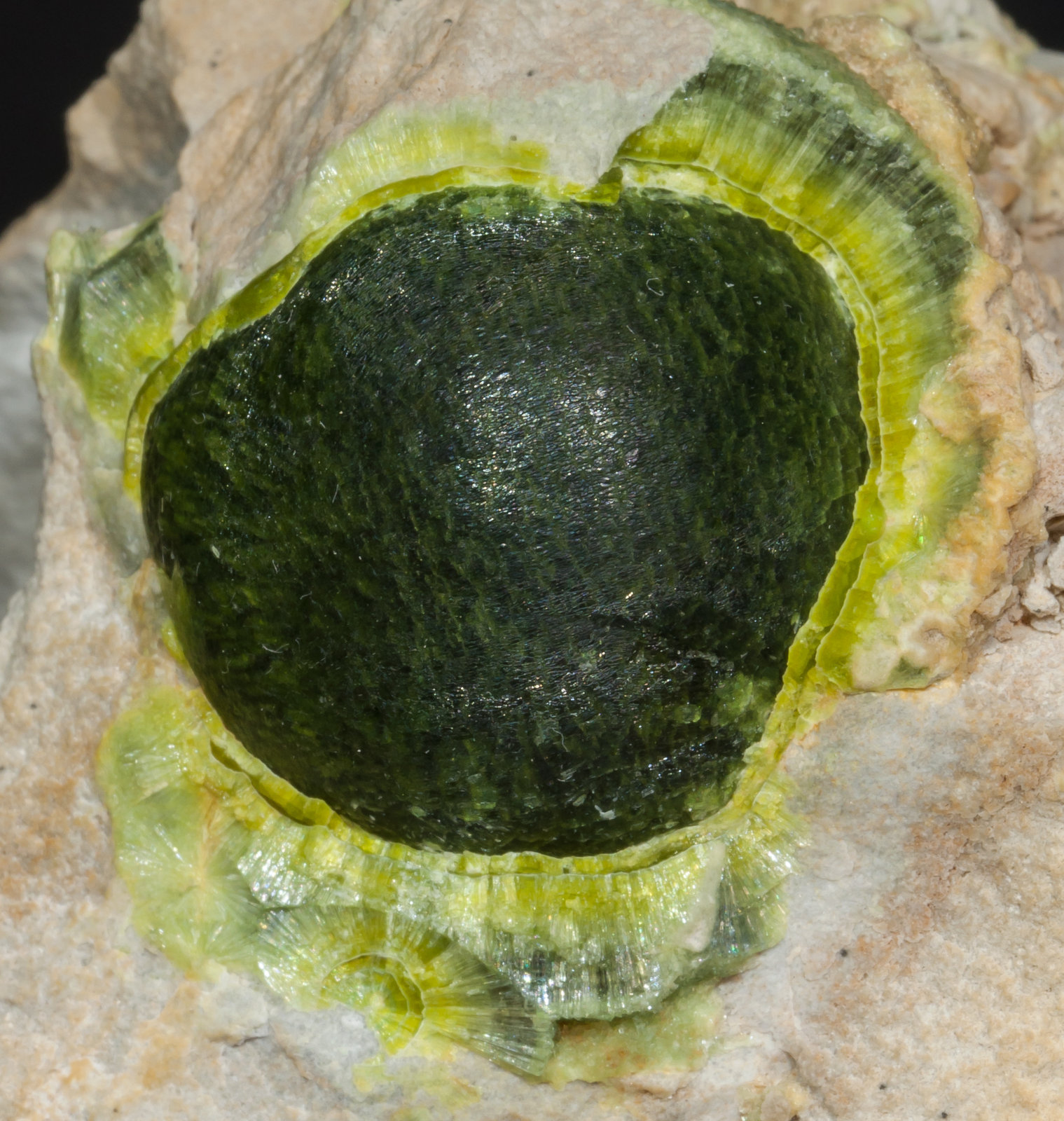 specimens/s_imagesAI0/Wavellite-EN96AI0d.jpg