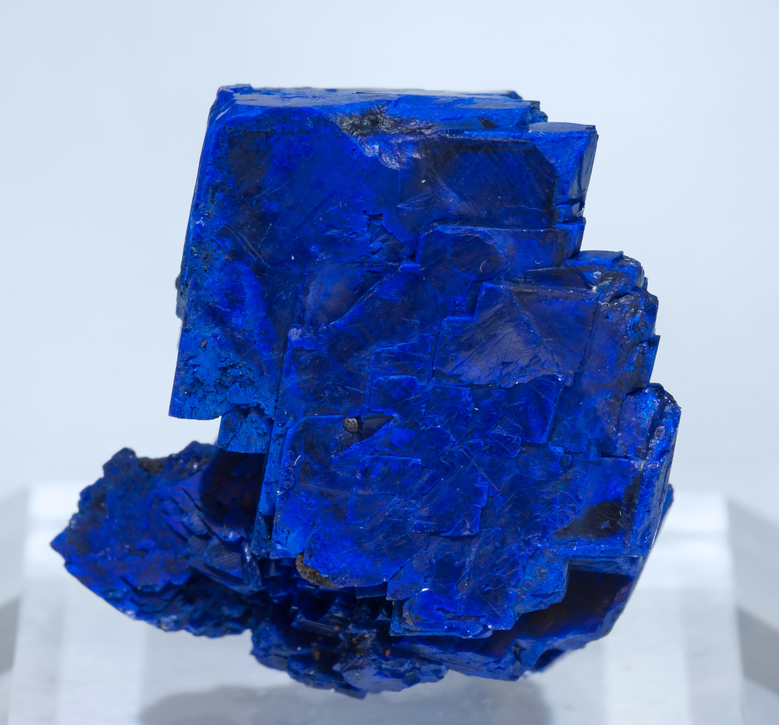 specimens/s_imagesAI1/Azurite-EE96AI1f.jpg