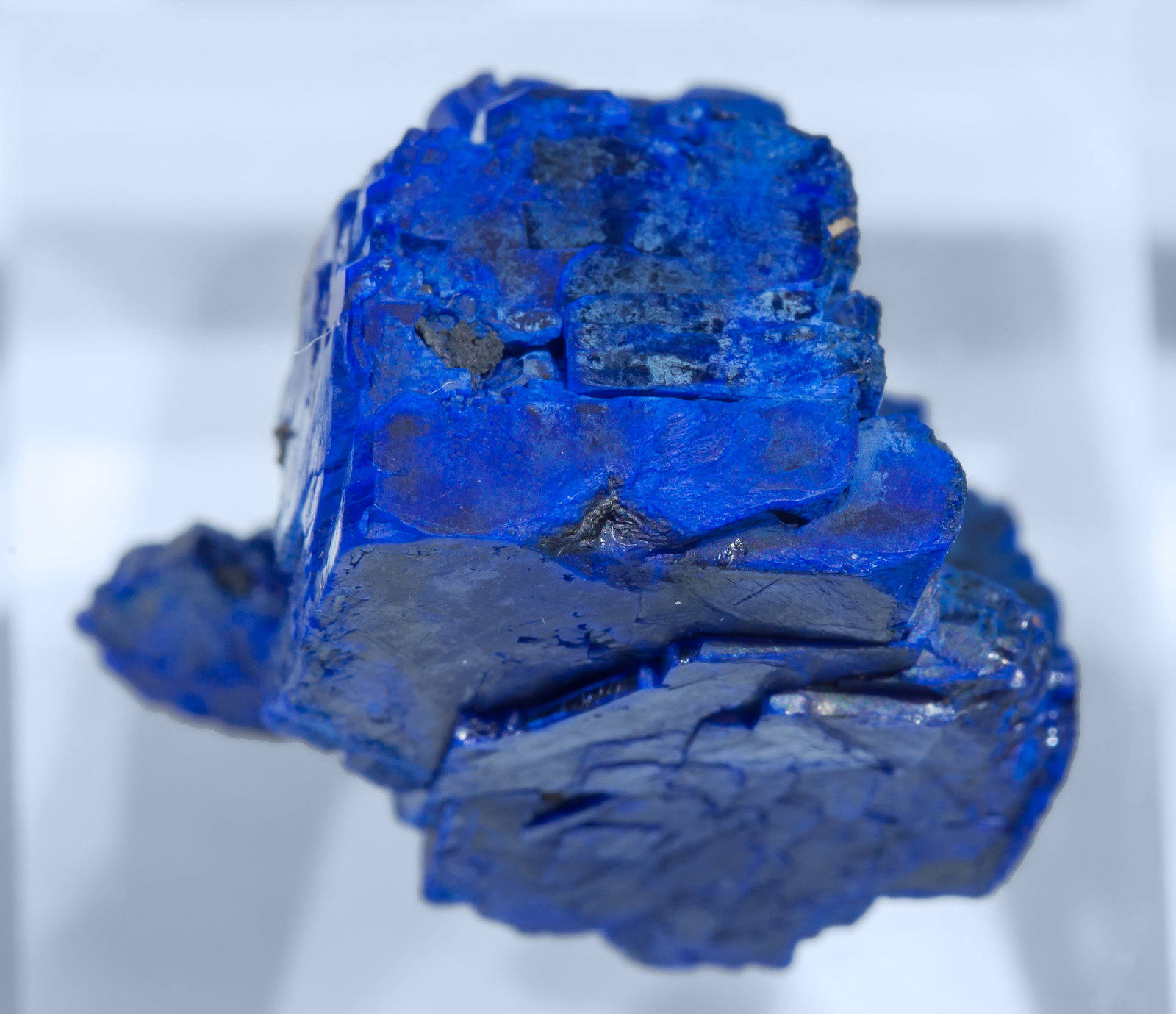 specimens/s_imagesAI1/Azurite-EE96AI1t.jpg