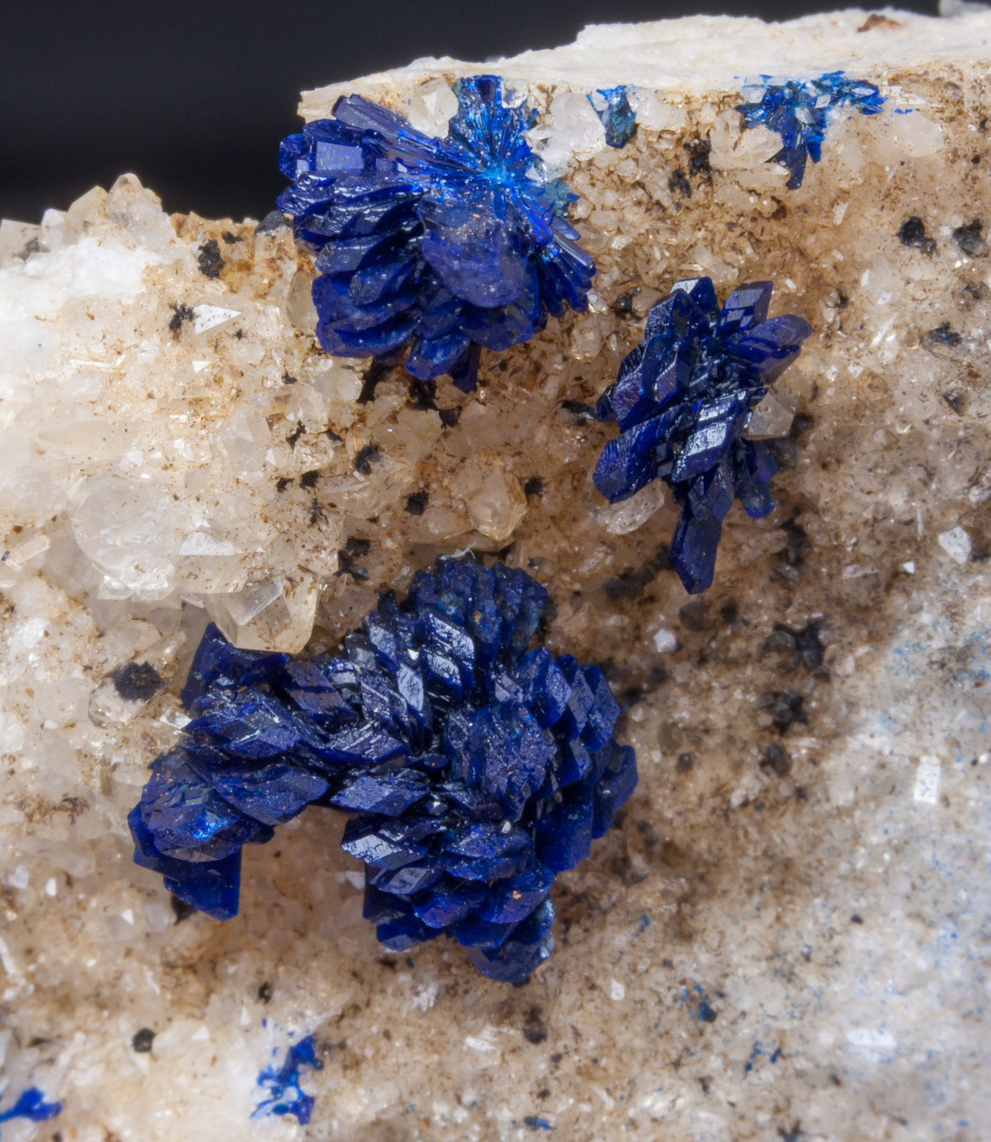 specimens/s_imagesAI1/Azurite-NB36AI1d.jpg