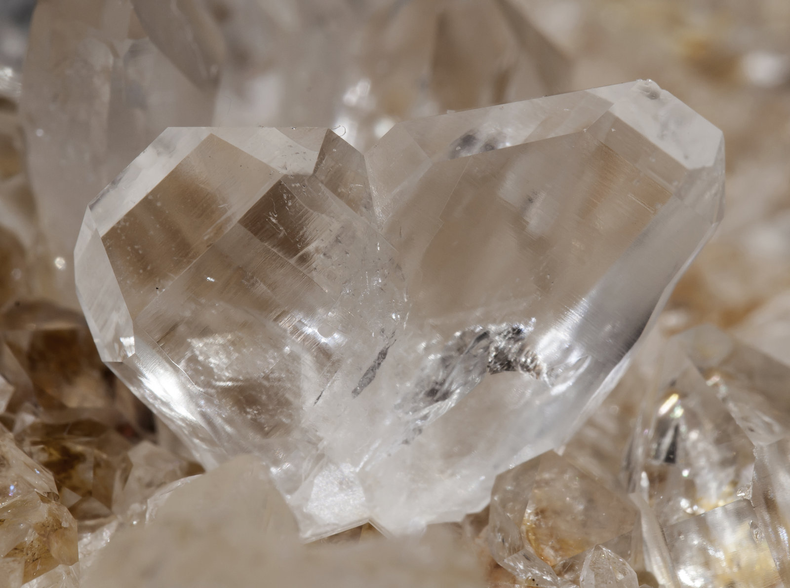 specimens/s_imagesAI1/Quartz-EG86AI1d.jpg