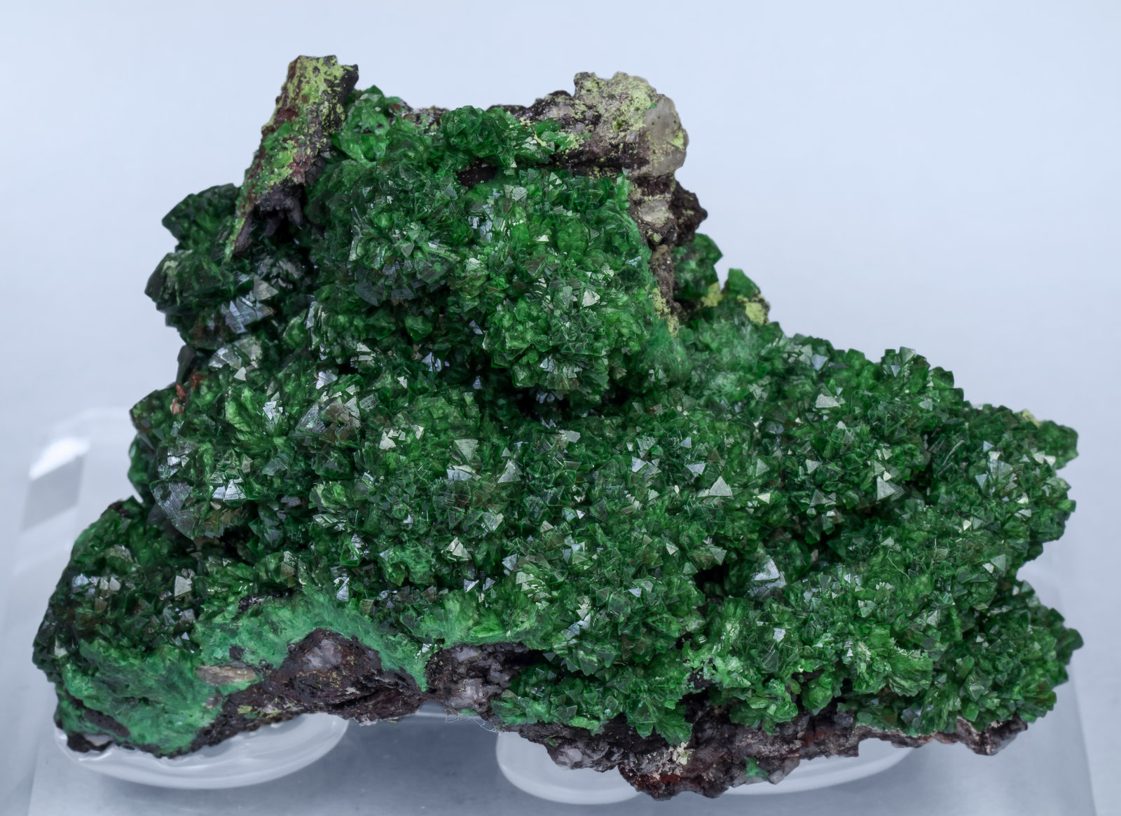 specimens/s_imagesAI3/Adamite_cuprian-TR66AI3f.jpg