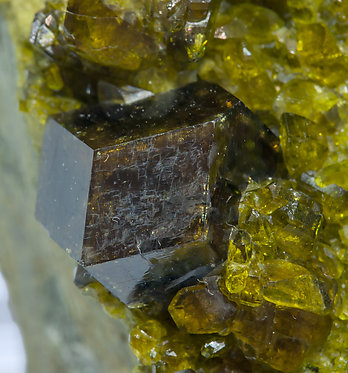 Andradite with Epidote. 