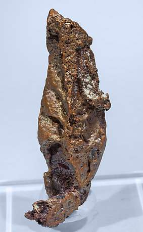Copper. Rear