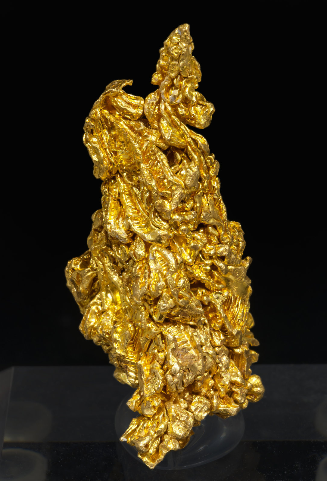 specimens/s_imagesAI3/Gold-TW48AI3f2.jpg
