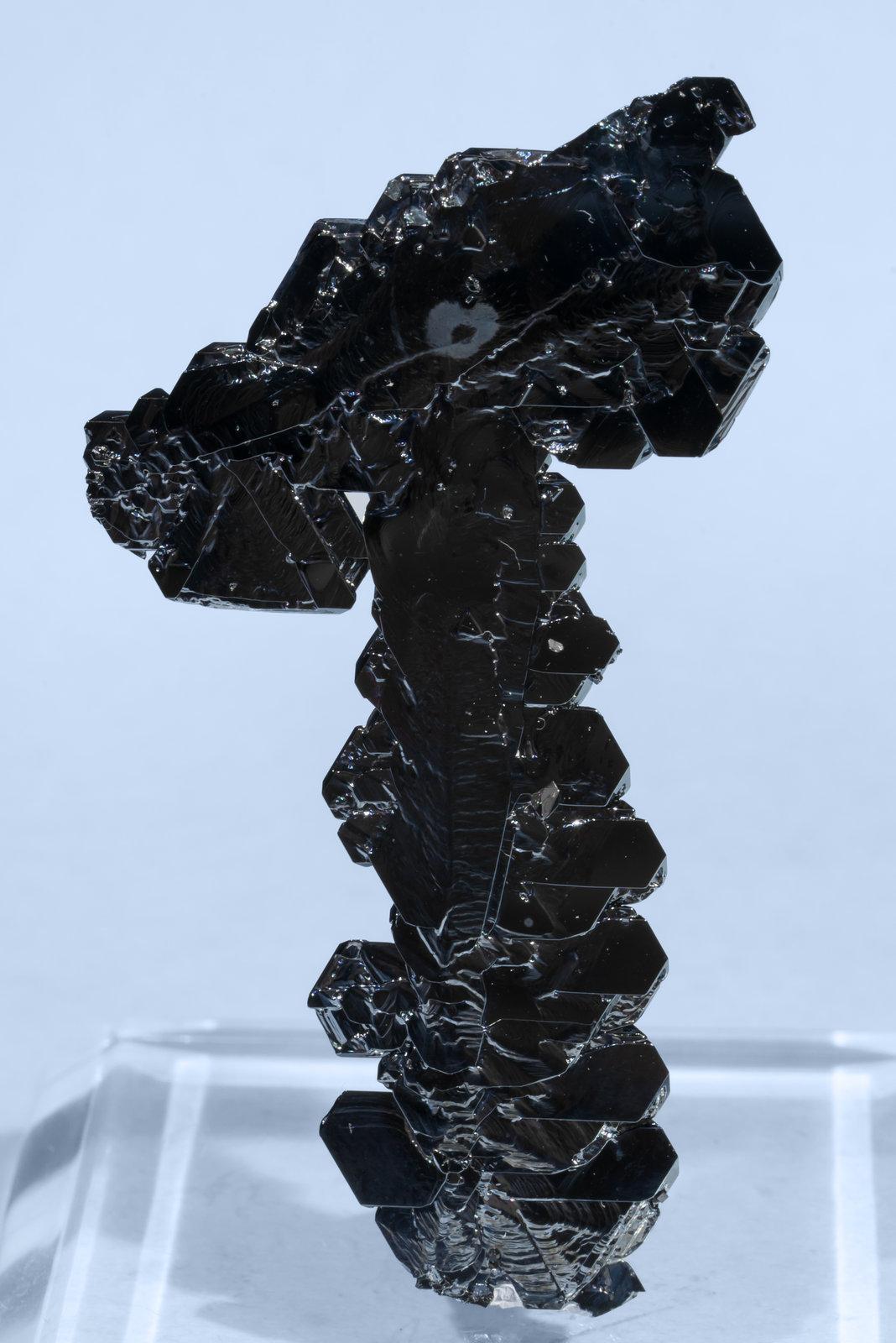 specimens/s_imagesAI3/Hematite-NT66AI3f.jpg