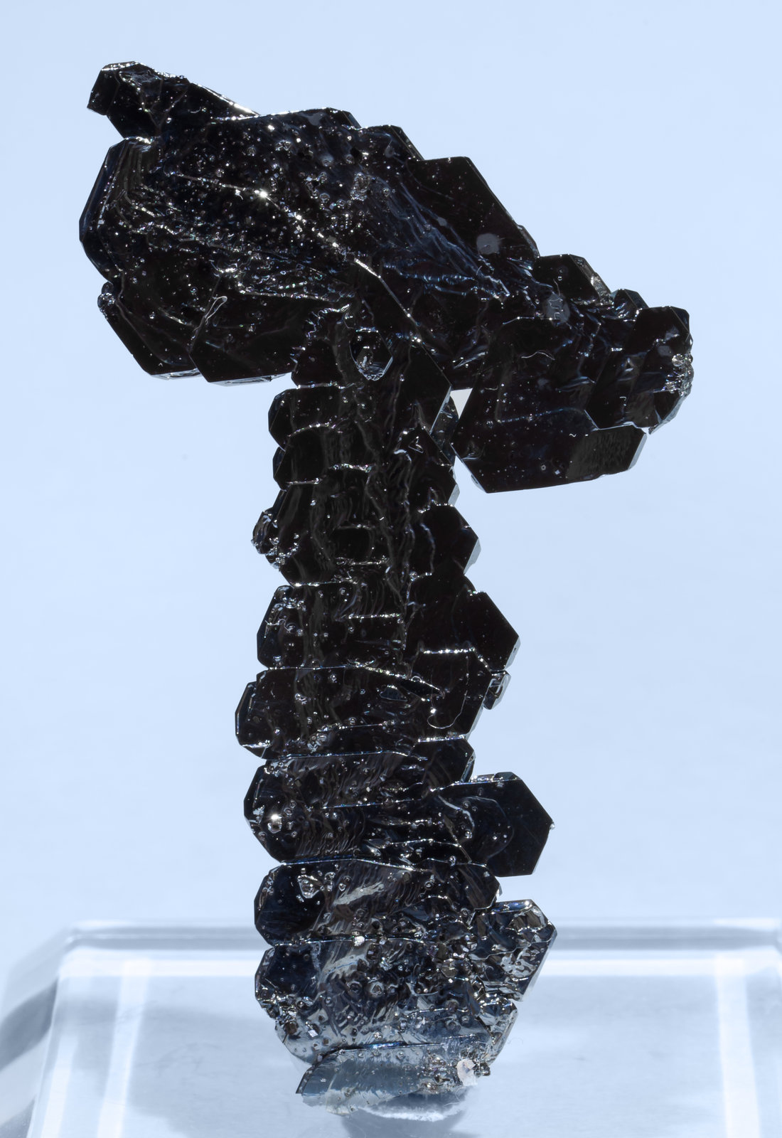specimens/s_imagesAI3/Hematite-NT66AI3r.jpg