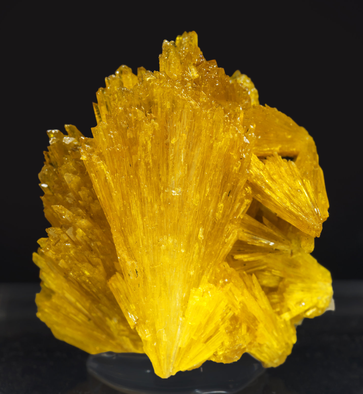 specimens/s_imagesAI3/Legrandite-TF96AI3f.jpg