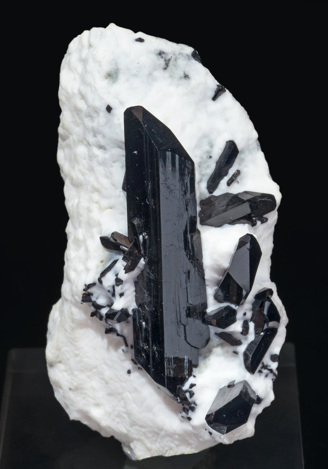 specimens/s_imagesAI3/Neptunite-NB26AI3f.jpg