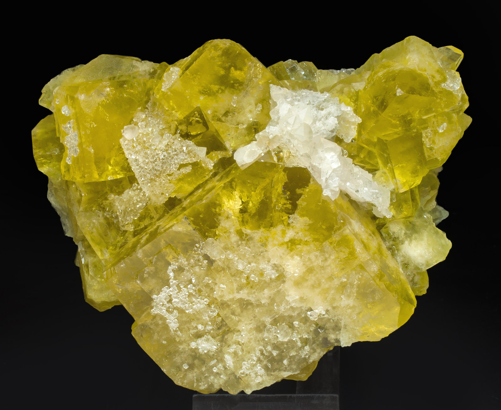 specimens/s_imagesAI4/Fluorite-MN66AI4f.jpg