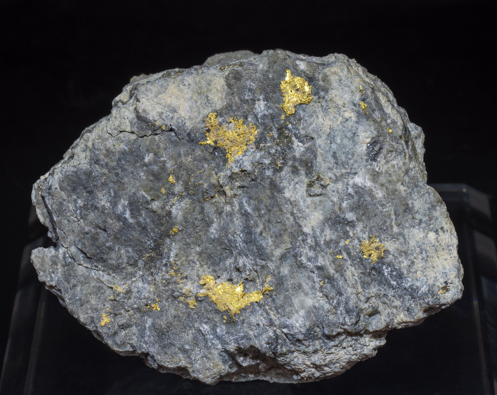 specimens/s_imagesAI4/Gold-EB57AI4f.jpg