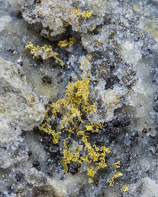 Gold with Quartz and Sphalerite. 