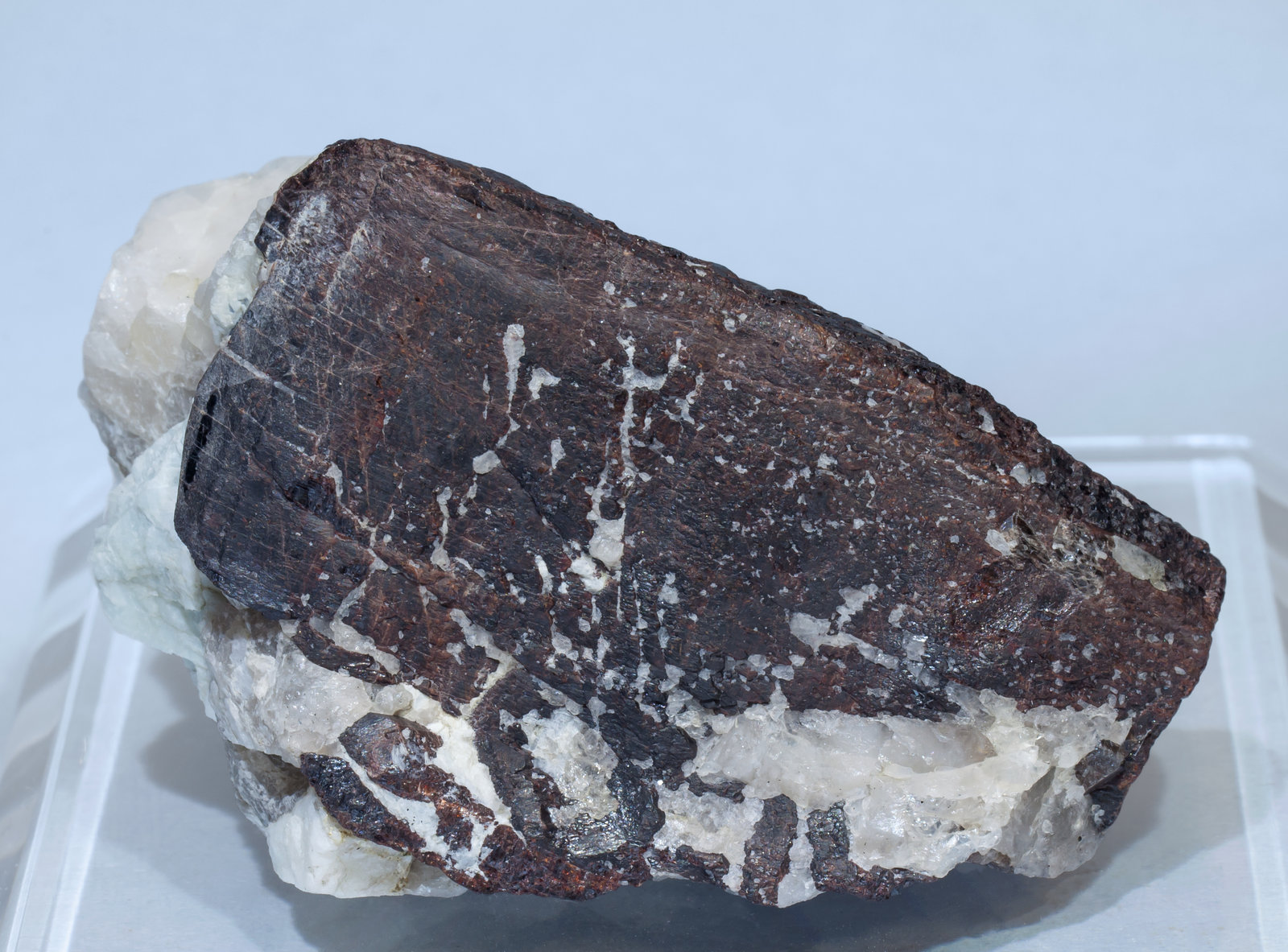 specimens/s_imagesAI4/Manganotantalite-NB88AI4f.jpg