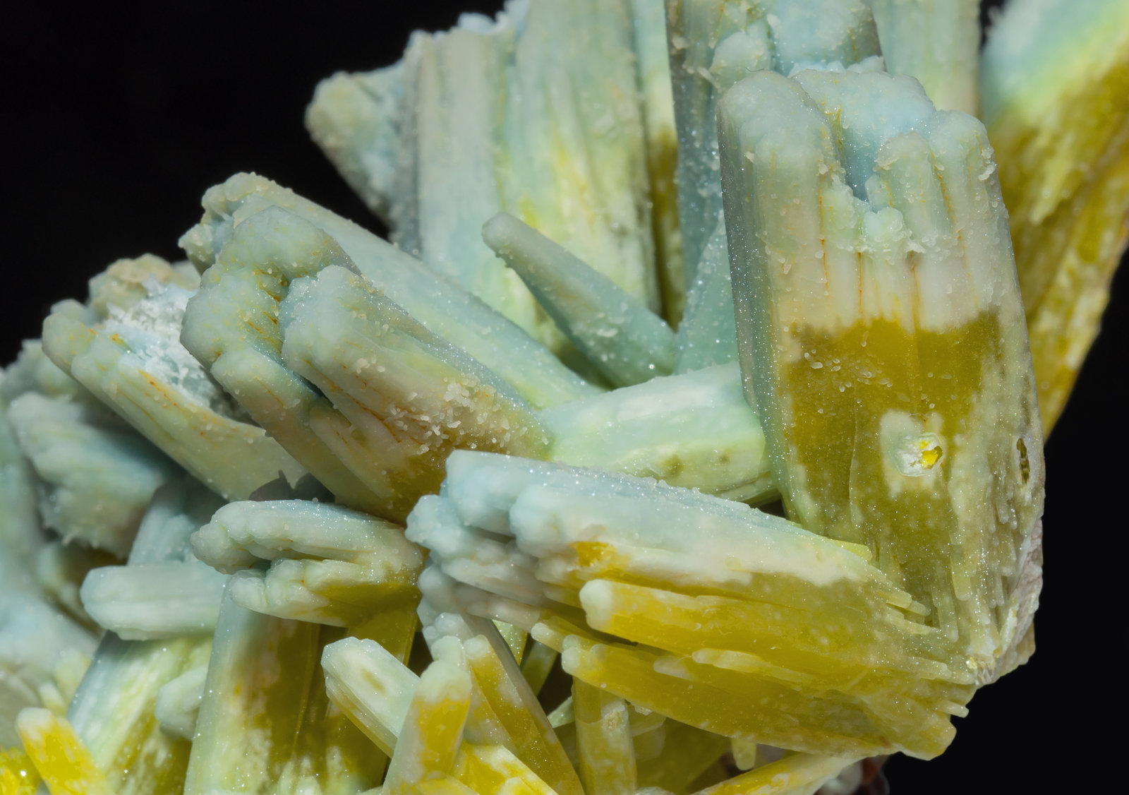 specimens/s_imagesAI4/Pyromorphite-ET53AI4d2.jpg