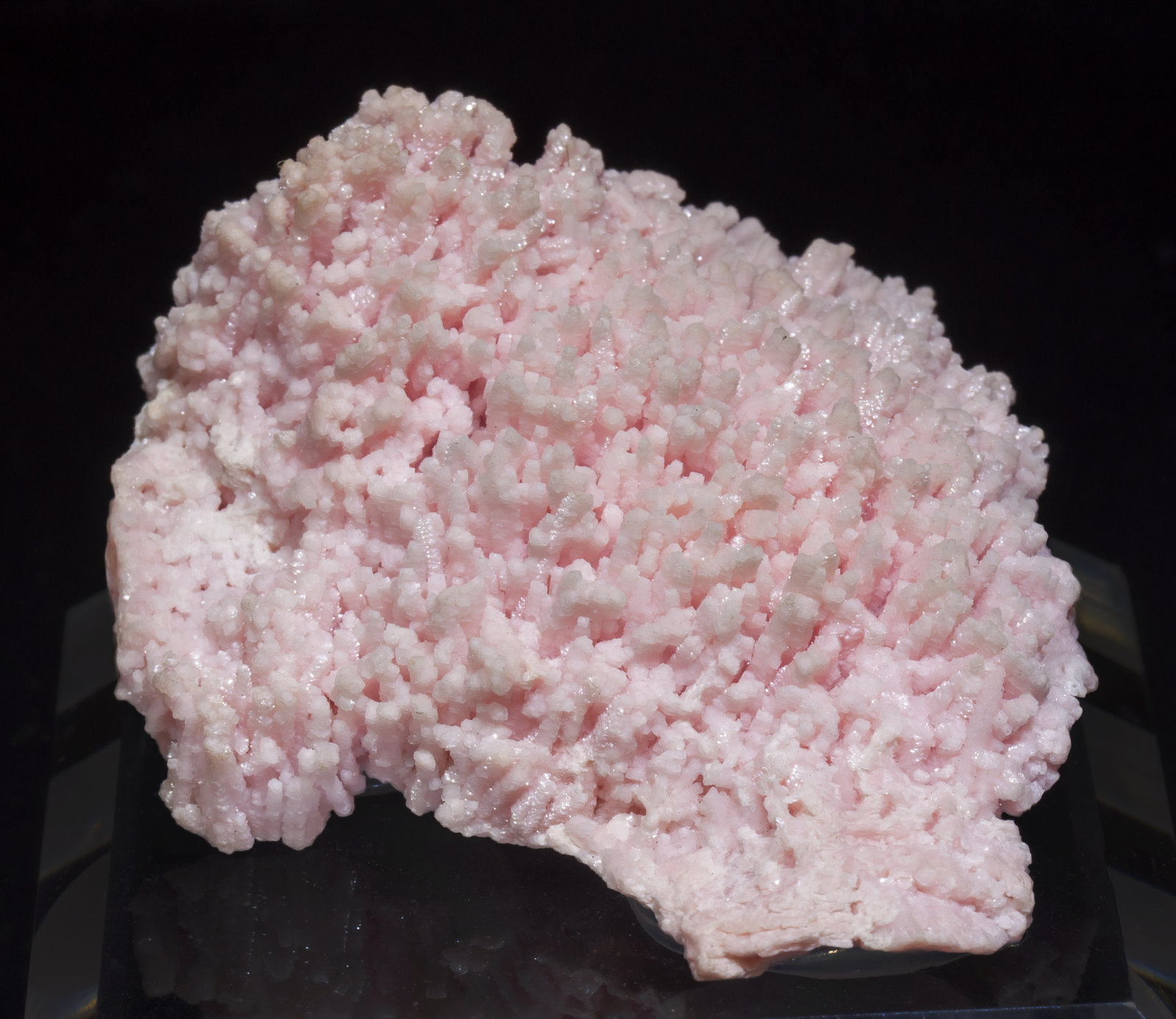 specimens/s_imagesAI4/Rhodochrosite-MR14AI4f.jpg
