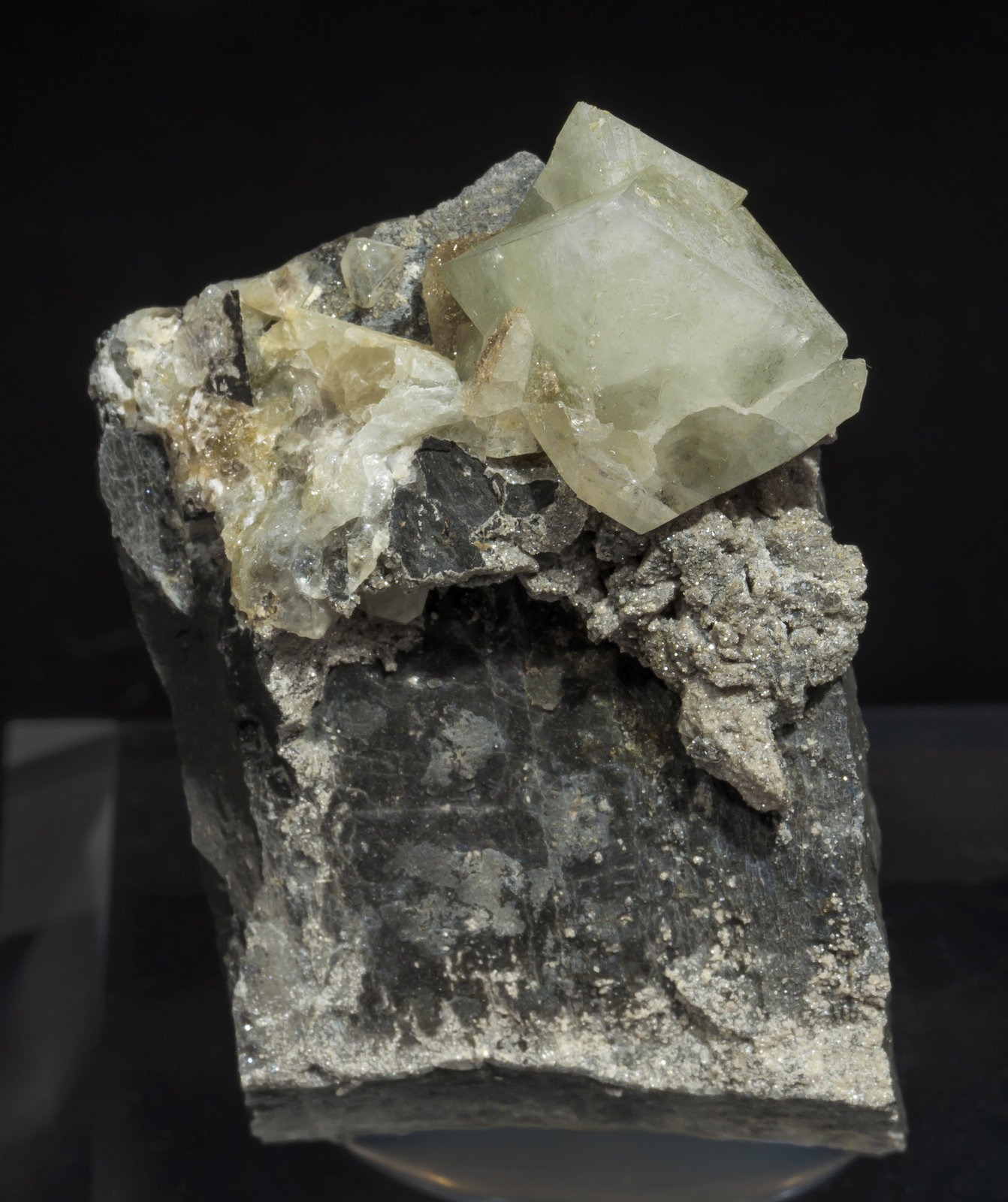 specimens/s_imagesAI4/Wardite-MC14AI4f.jpg