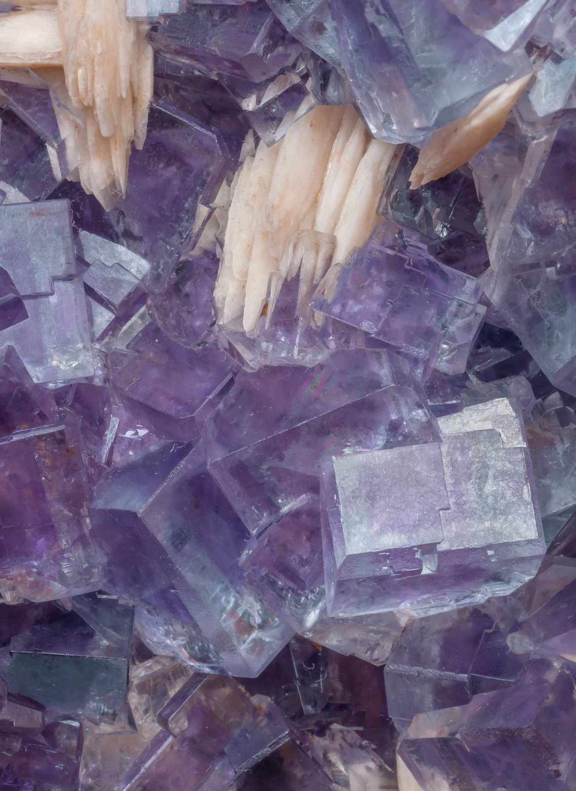 specimens/s_imagesAI5/Fluorite-ER16AI5d1.jpg