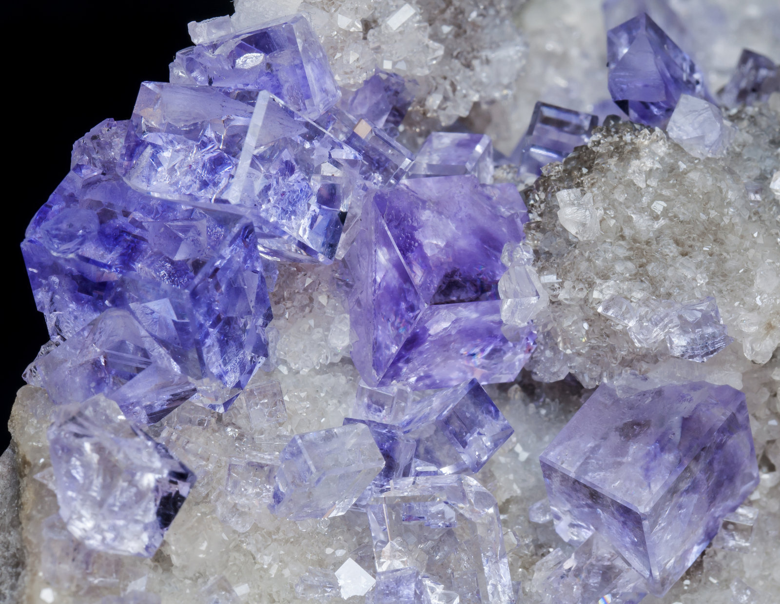specimens/s_imagesAI5/Fluorite-NB53AI5d.jpg