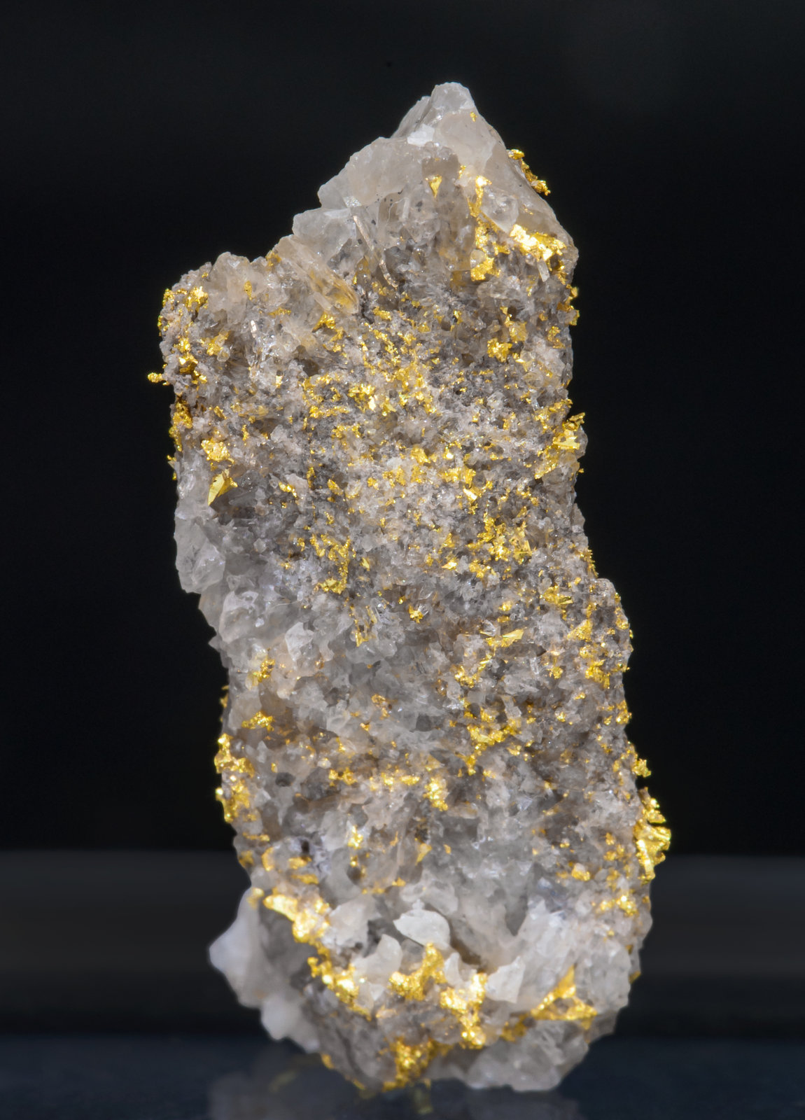 specimens/s_imagesAI5/Gold-MT89AI5s.jpg