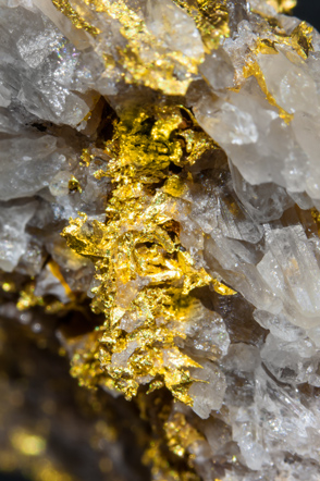 Gold with Quartz. 