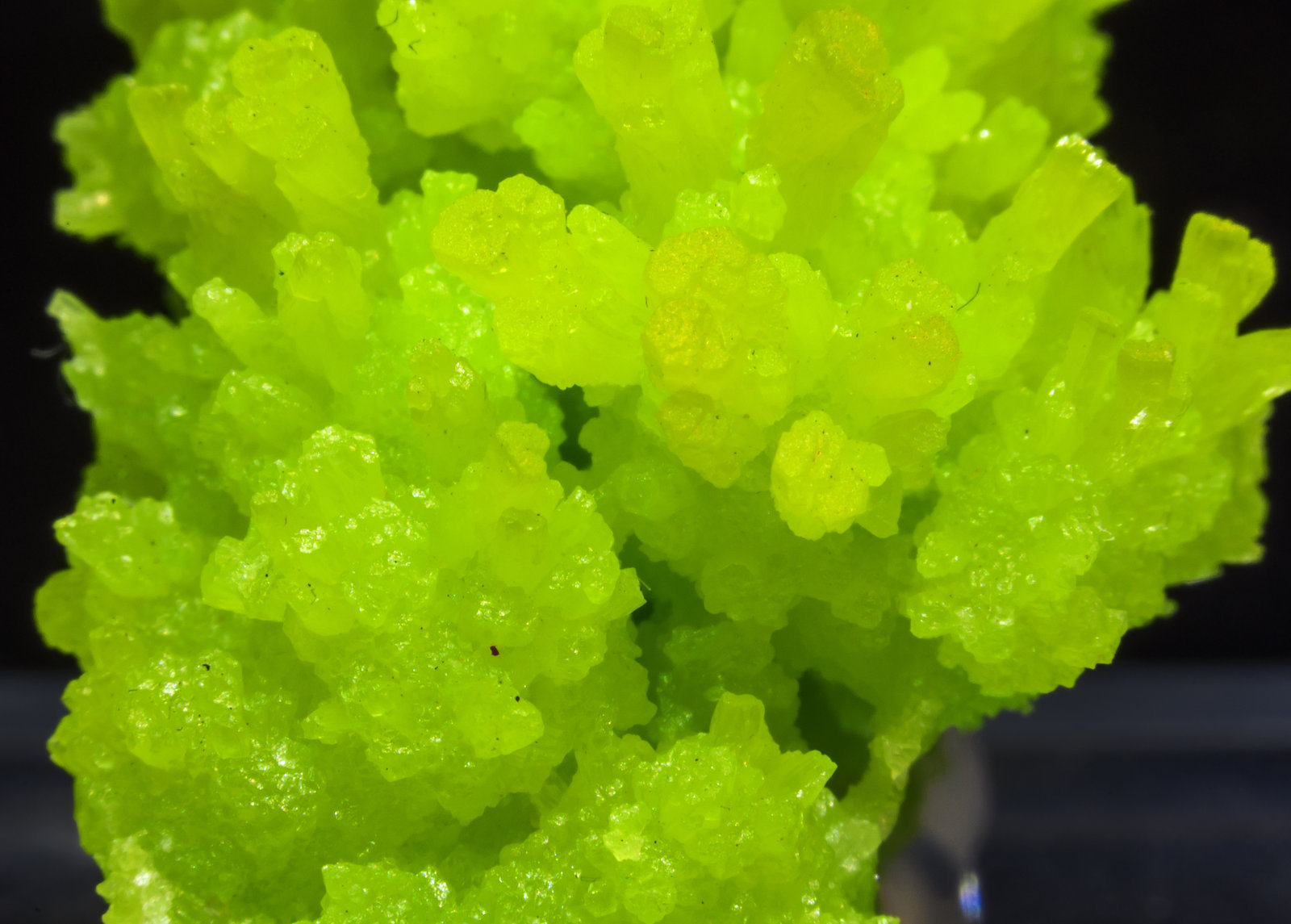 specimens/s_imagesAI5/Pyromorphite-NA67AI5d.jpg