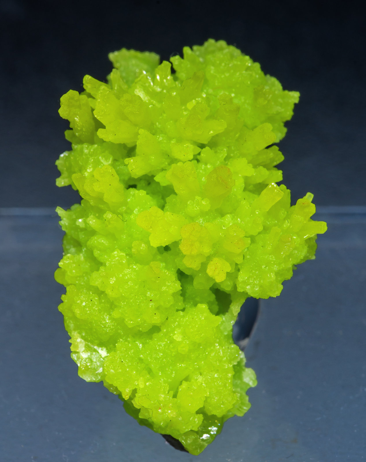 specimens/s_imagesAI5/Pyromorphite-NA67AI5f.jpg