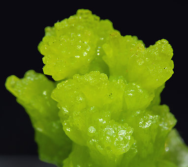 Pyromorphite. 