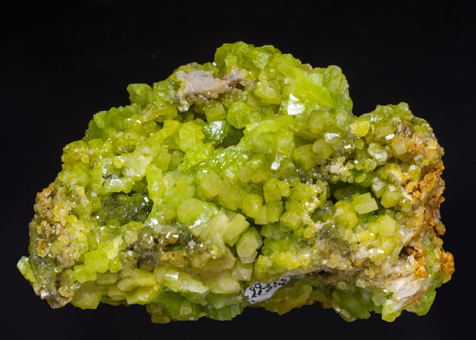 specimens/s_imagesAI5/Pyromorphite-NB16AI5r.jpg