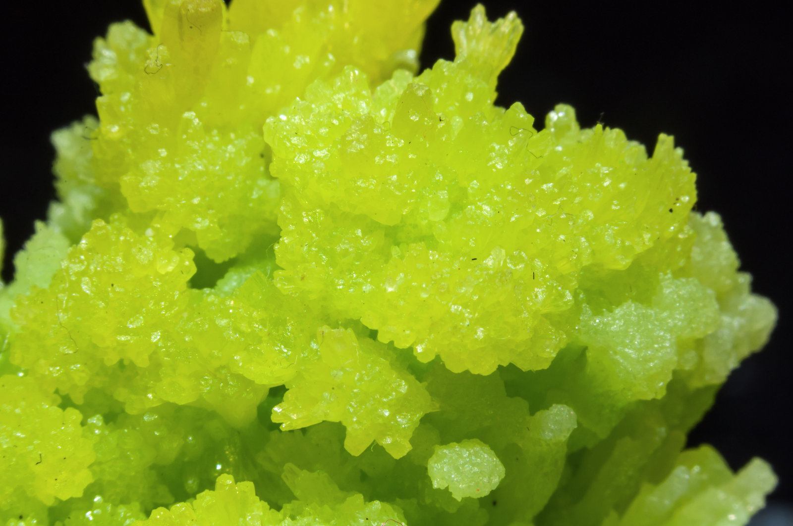 specimens/s_imagesAI5/Pyromorphite-ND37AI5d.jpg