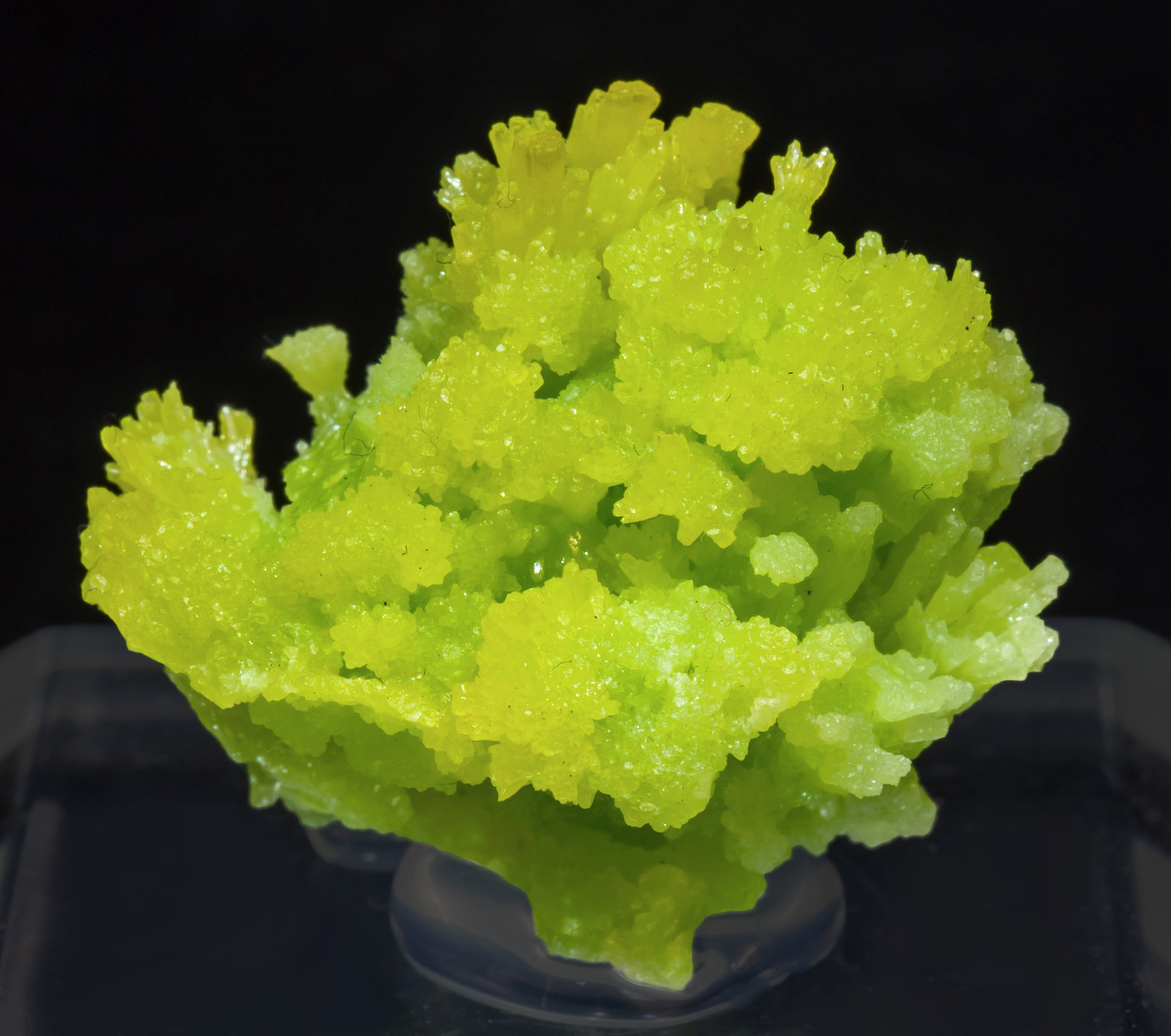 specimens/s_imagesAI5/Pyromorphite-ND37AI5f.jpg