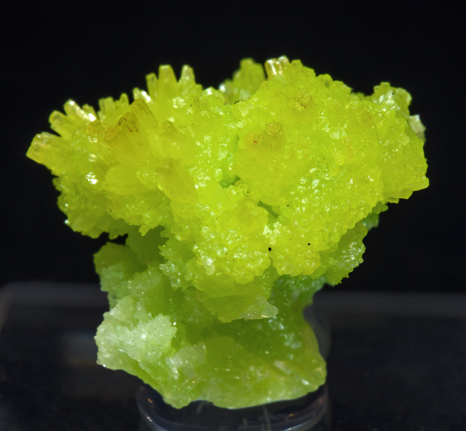 specimens/s_imagesAI5/Pyromorphite-NE13AI5f.jpg