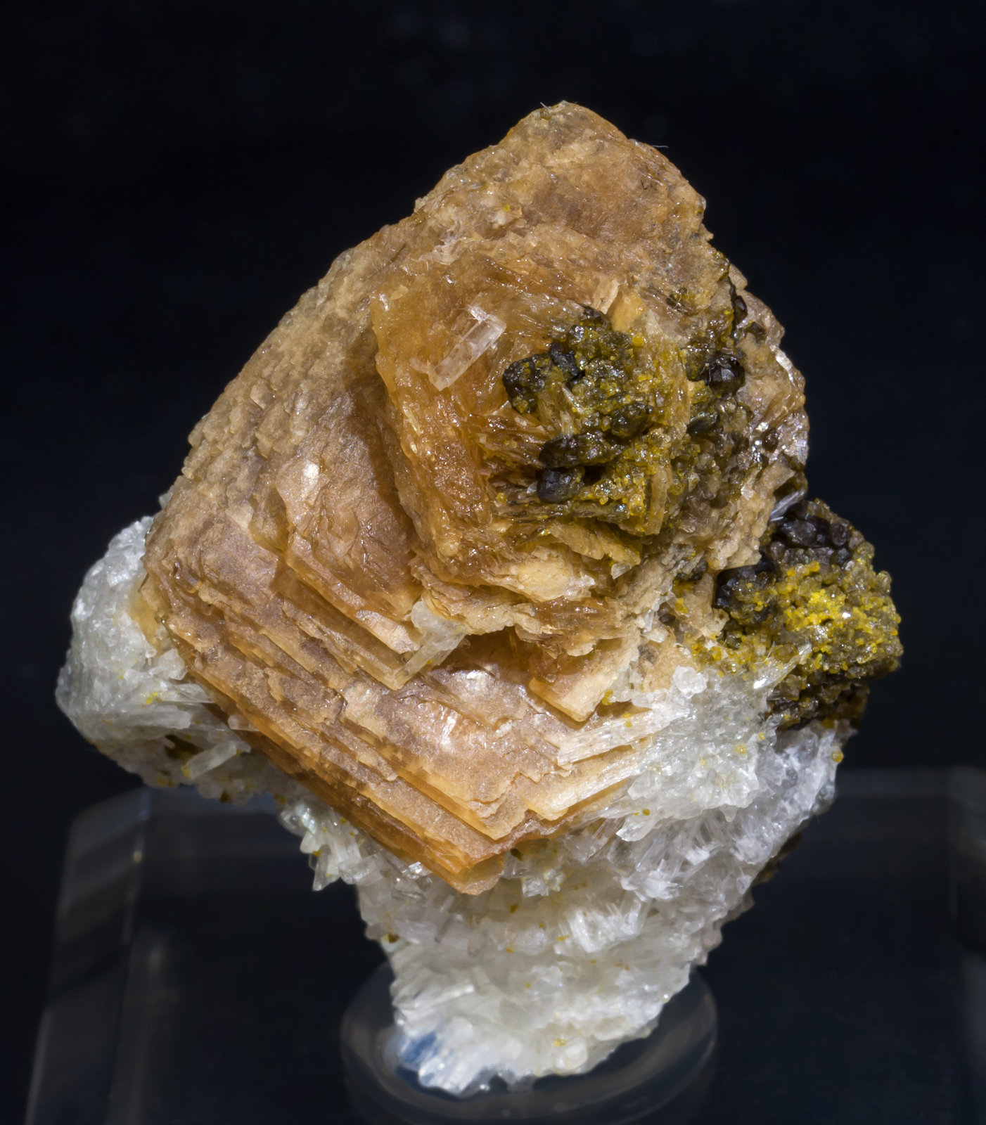specimens/s_imagesAI5/Roweite-EA89AI5f.jpg
