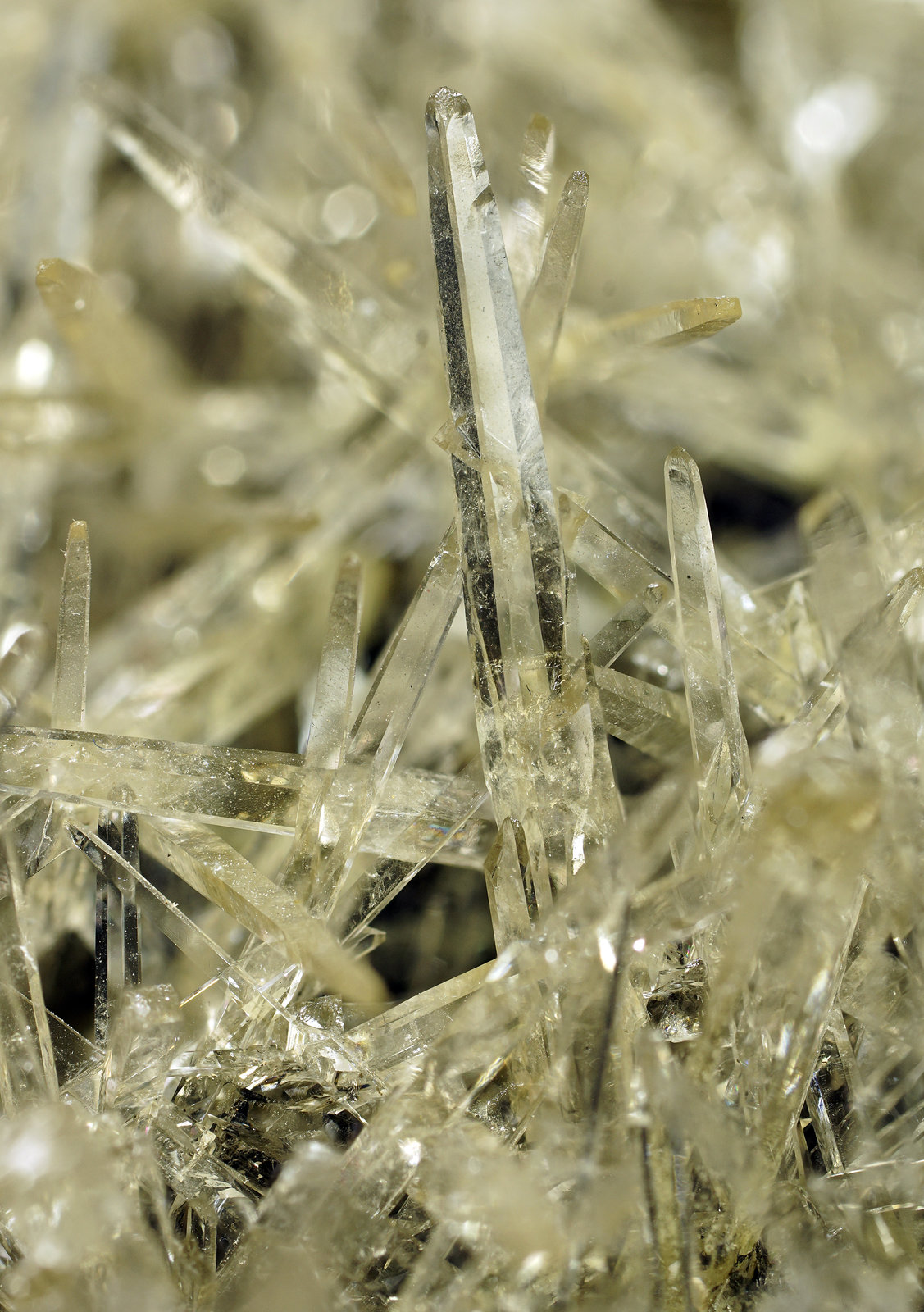 specimens/s_imagesAI6/Celestine-CA91AI6_5599_d.jpg