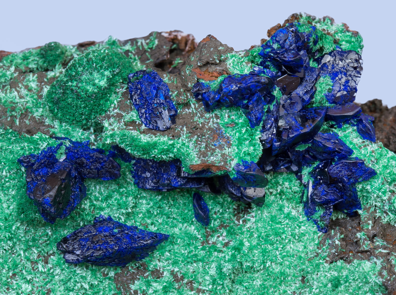 specimens/s_imagesAI7/Azurite-TQ98AI7d.jpg