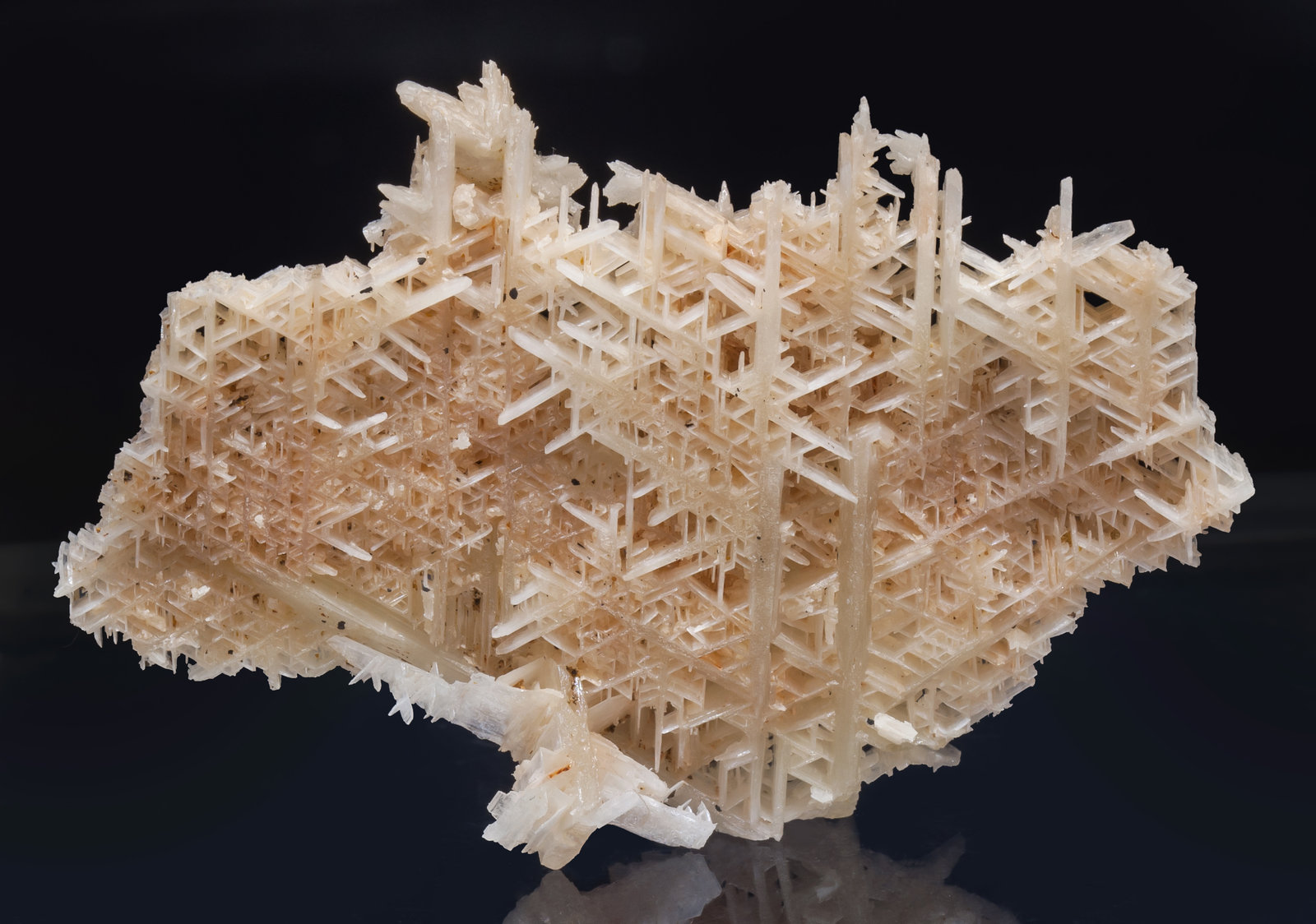 specimens/s_imagesAI7/Cerussite-NR89AI7r.jpg