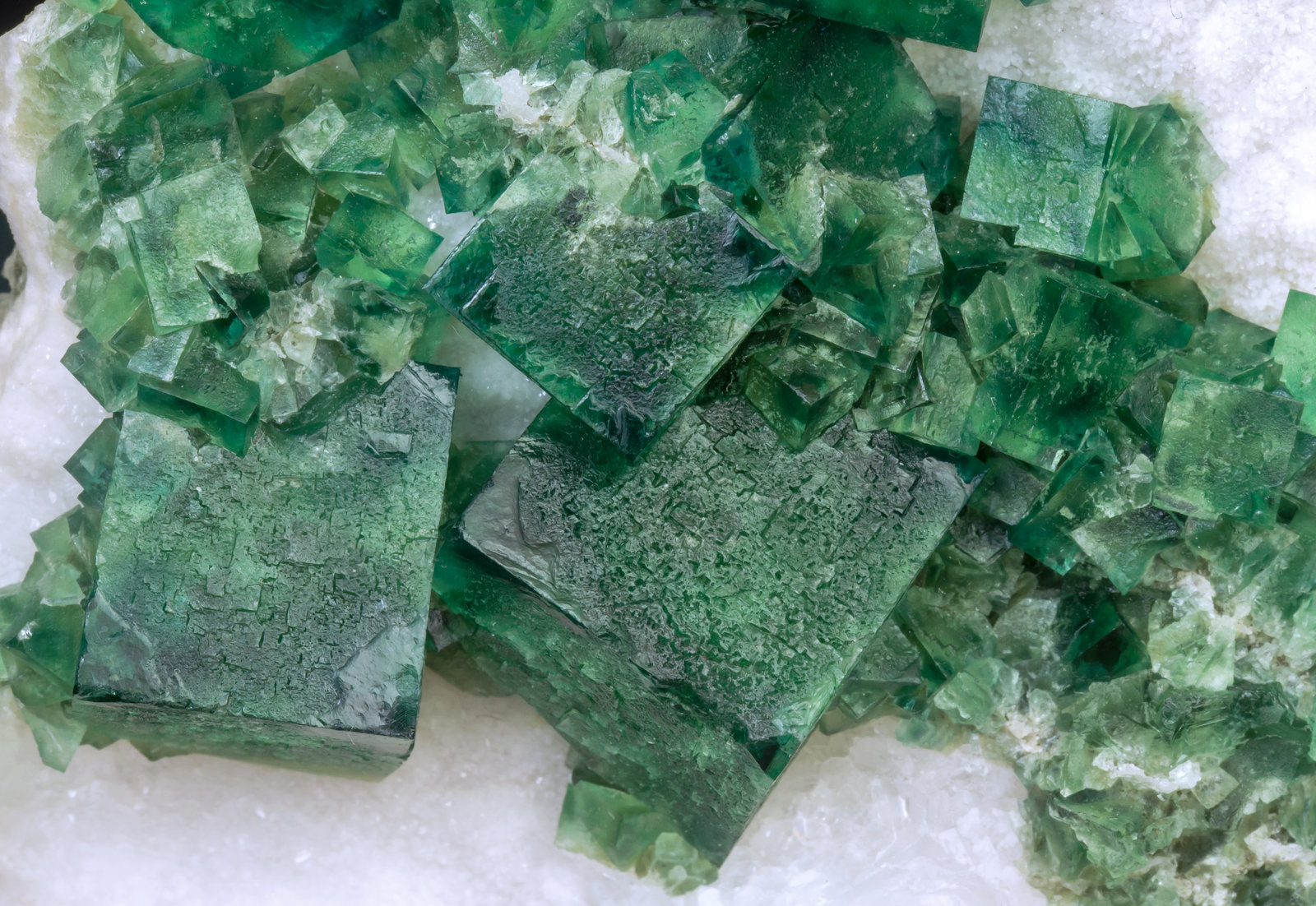specimens/s_imagesAI7/Fluorite-EF46AI7d.jpg